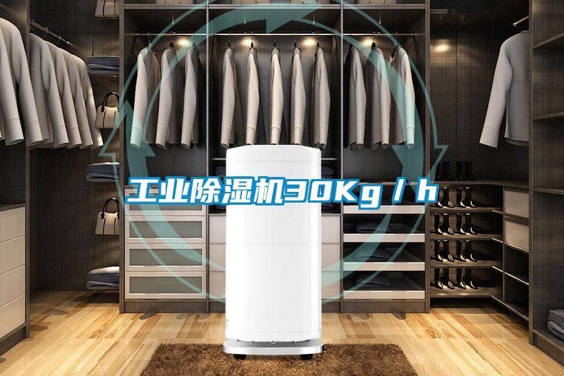 工業(yè)除濕機30Kg／h