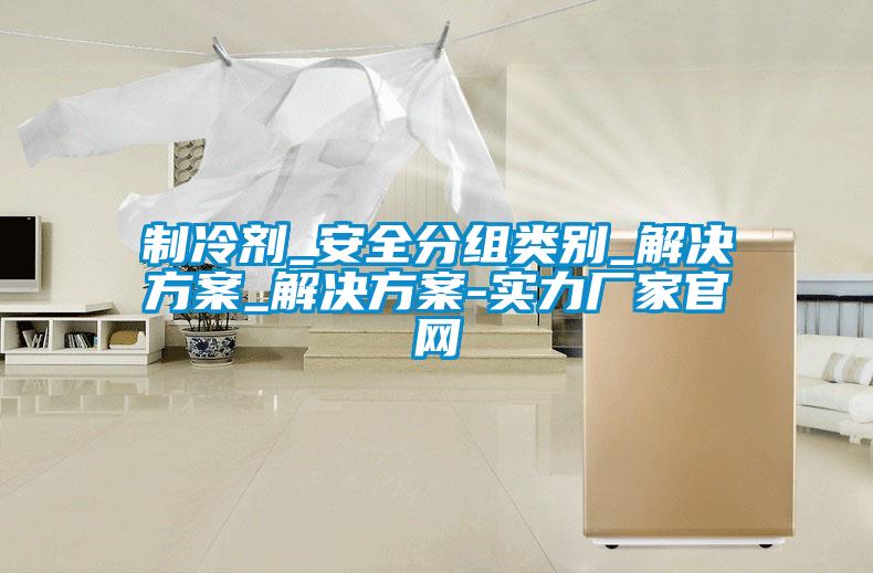 制冷劑_安全分組類(lèi)別_解決方案_解決方案-實(shí)力廠家官網(wǎng)