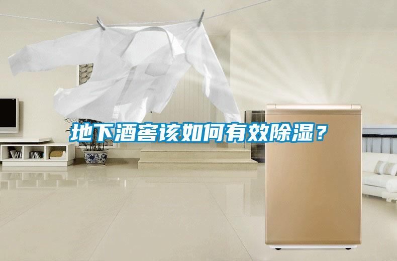 地下酒窖該如何有效除濕？