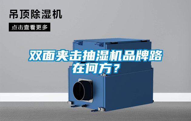 雙面夾擊抽濕機(jī)品牌路在何方？