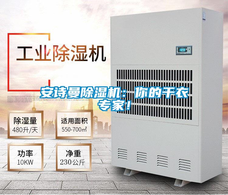 安詩(shī)曼除濕機(jī)：你的干衣專家！