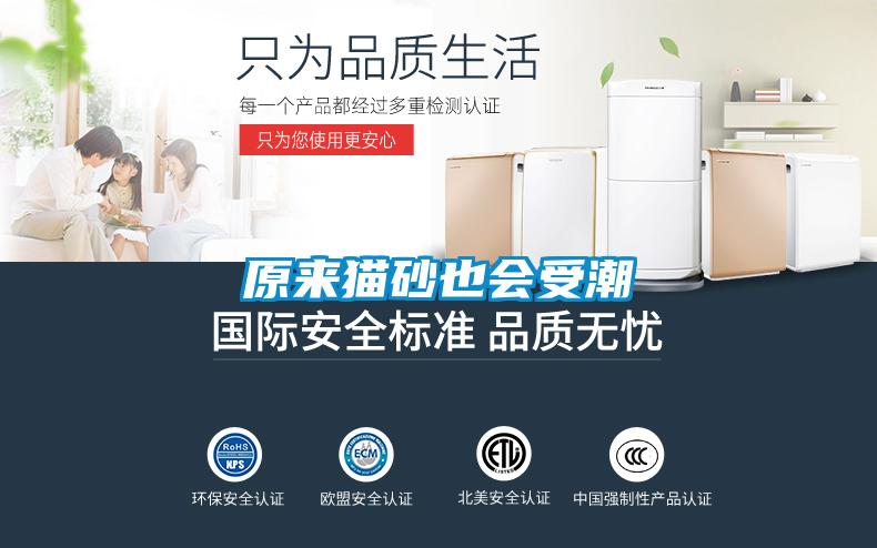原來貓砂也會(huì)受潮