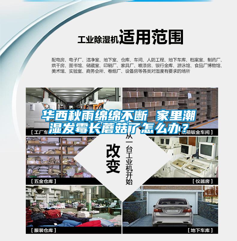 華西秋雨綿綿不斷 家里潮濕發(fā)霉長蘑菇了怎么辦？