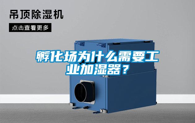 孵化場(chǎng)為什么需要工業(yè)加濕器？