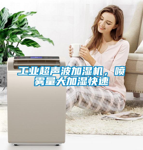 工業(yè)超聲波加濕機，噴霧量大加濕快速