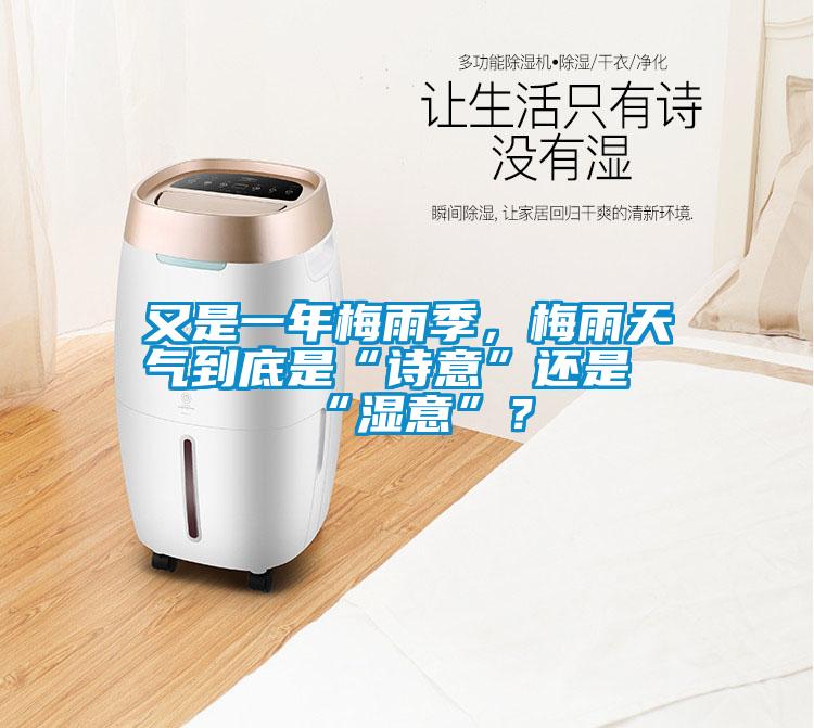 又是一年梅雨季，梅雨天氣到底是“詩意”還是“濕意”？