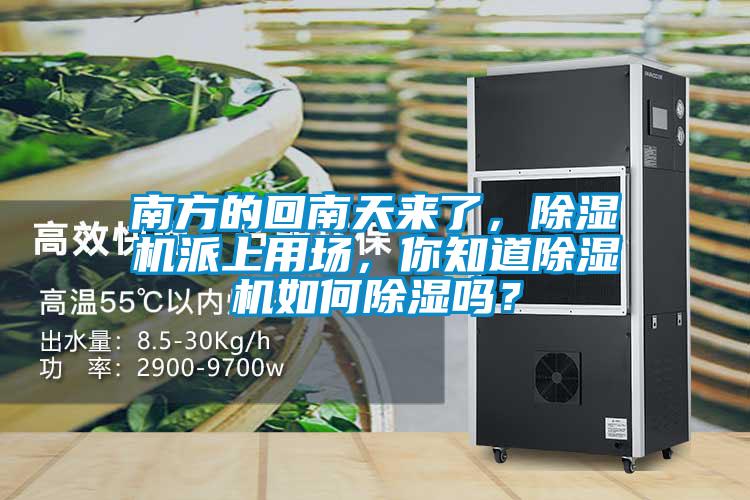南方的回南天來了，除濕機派上用場，你知道除濕機如何除濕嗎？