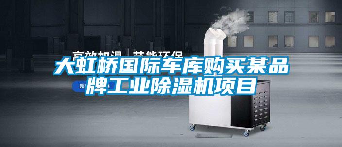 大虹橋國際車庫購買某品牌工業(yè)除濕機項目
