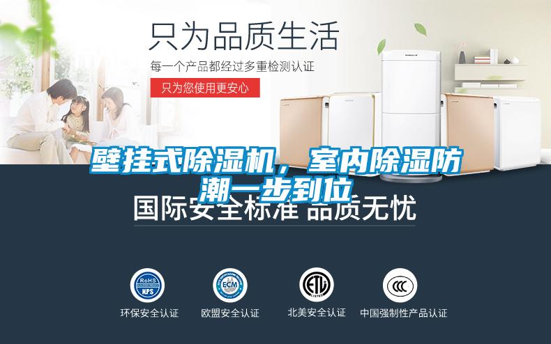 壁掛式除濕機(jī)，室內(nèi)除濕防潮一步到位