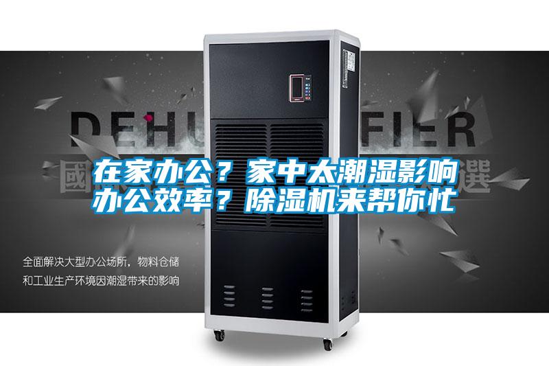 在家辦公？家中太潮濕影響辦公效率？除濕機(jī)來(lái)幫你忙