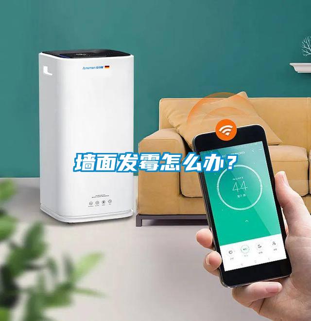 墻面發(fā)霉怎么辦？