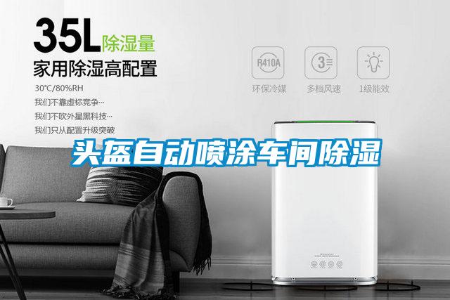 頭盔自動(dòng)噴涂車(chē)間除濕
