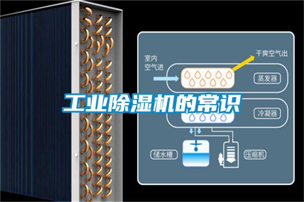 工業(yè)除濕機(jī)的常識(shí)