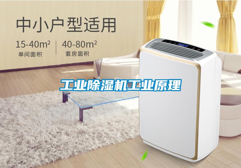 工業(yè)除濕機(jī)工業(yè)原理