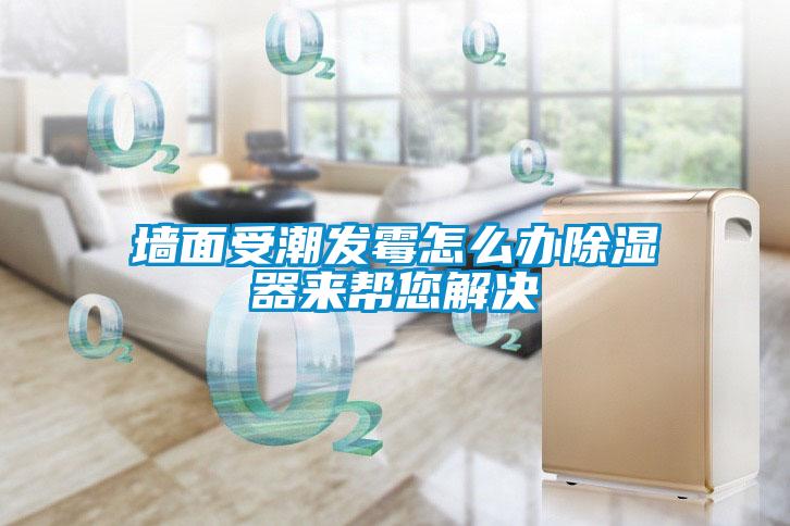 墻面受潮發(fā)霉怎么辦除濕器來幫您解決