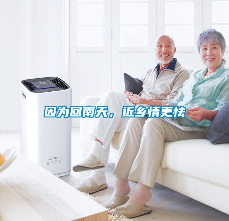 因?yàn)榛啬咸?，近鄉(xiāng)情更怯