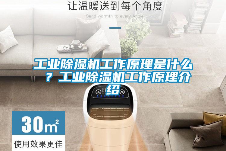 工業(yè)除濕機(jī)工作原理是什么 ？工業(yè)除濕機(jī)工作原理介紹