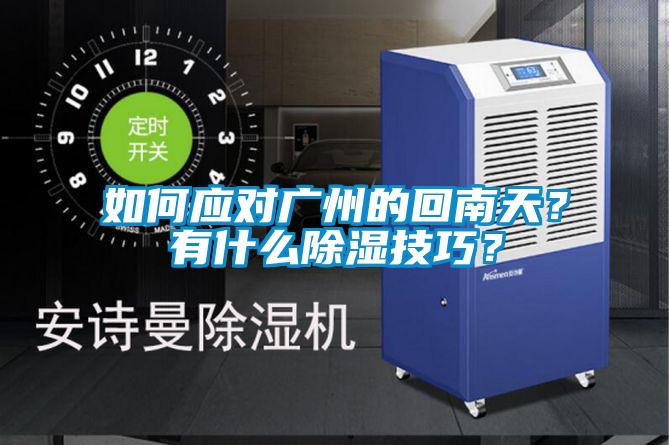 如何應(yīng)對(duì)廣州的回南天？有什么除濕技巧？