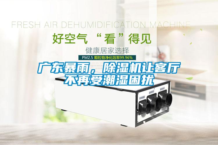 廣東暴雨，除濕機(jī)讓客廳不再受潮濕困擾