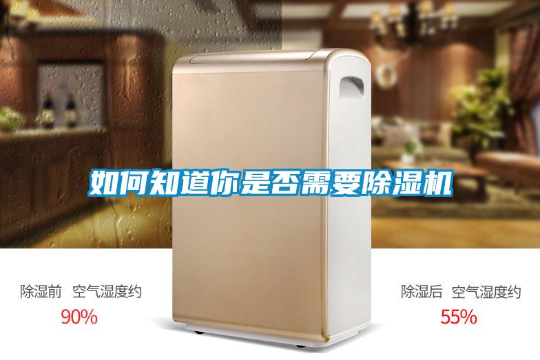 如何知道你是否需要除濕機