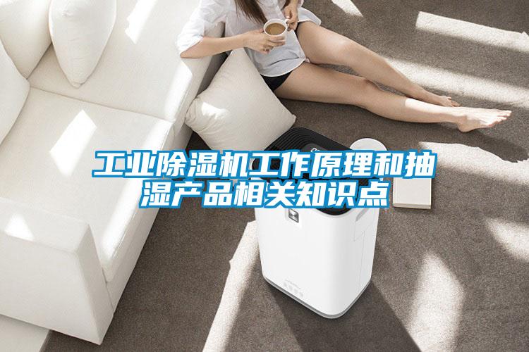 工業(yè)除濕機(jī)工作原理和抽濕產(chǎn)品相關(guān)知識(shí)點(diǎn)