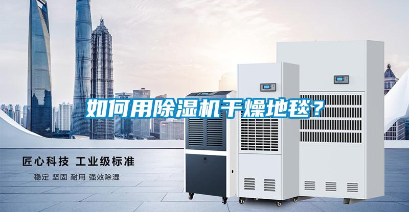 如何用除濕機(jī)干燥地毯？