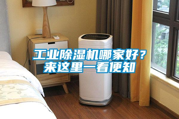 工業(yè)除濕機(jī)哪家好？來(lái)這里一看便知