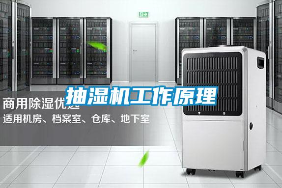 抽濕機(jī)工作原理