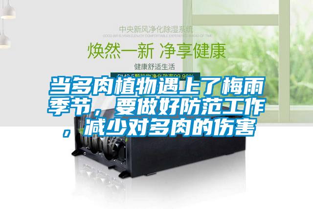 當多肉植物遇上了梅雨季節(jié)，要做好防范工作，減少對多肉的傷害