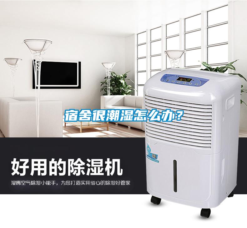 宿舍很潮濕怎么辦？