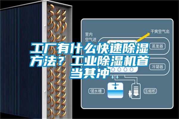 工廠有什么快速除濕方法？工業(yè)除濕機(jī)首當(dāng)其沖