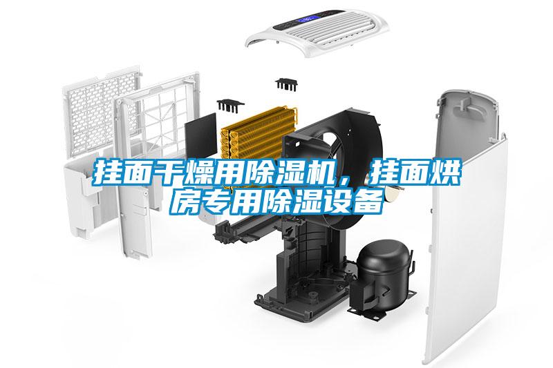 掛面干燥用除濕機(jī)，掛面烘房專(zhuān)用除濕設(shè)備