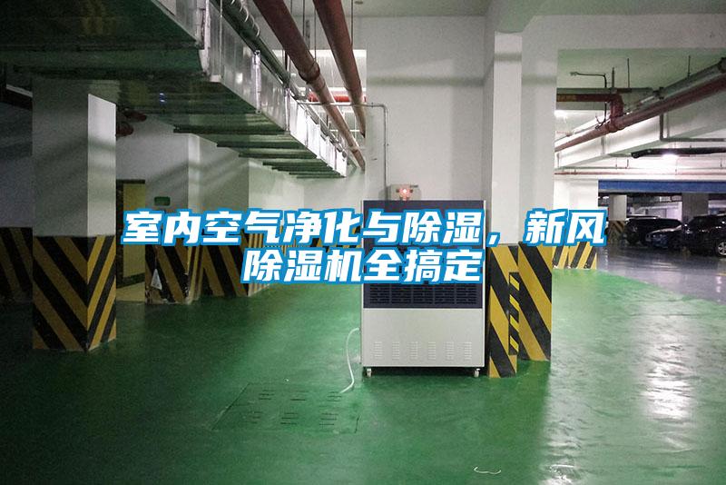 室內(nèi)空氣凈化與除濕，新風(fēng)除濕機(jī)全搞定