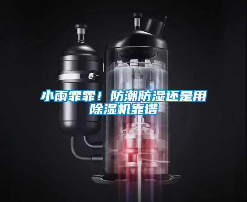 小雨霏霏！防潮防濕還是用除濕機(jī)靠譜
