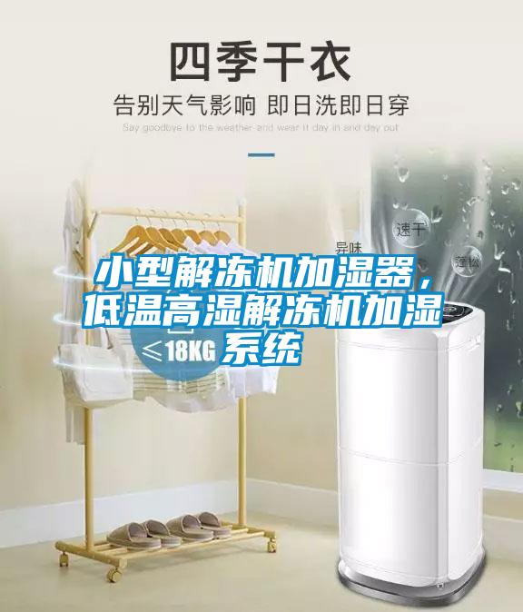 小型解凍機加濕器，低溫高濕解凍機加濕系統(tǒng)