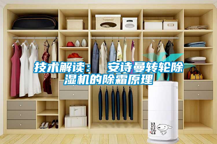 技術(shù)解讀： 安詩曼轉(zhuǎn)輪除濕機(jī)的除霜原理
