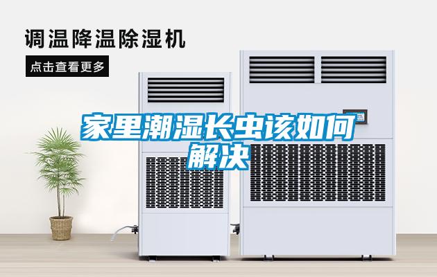 家里潮濕長蟲該如何解決