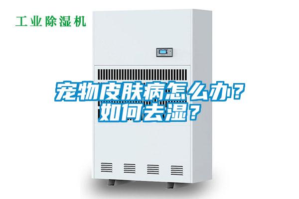 寵物皮膚病怎么辦？如何去濕？