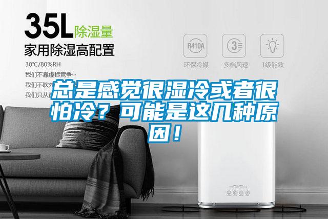 總是感覺很濕冷或者很怕冷？可能是這幾種原因！