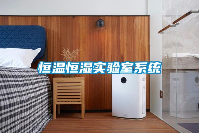 恒溫恒濕實(shí)驗(yàn)室系統(tǒng)