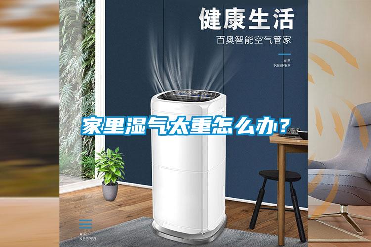 家里濕氣太重怎么辦？