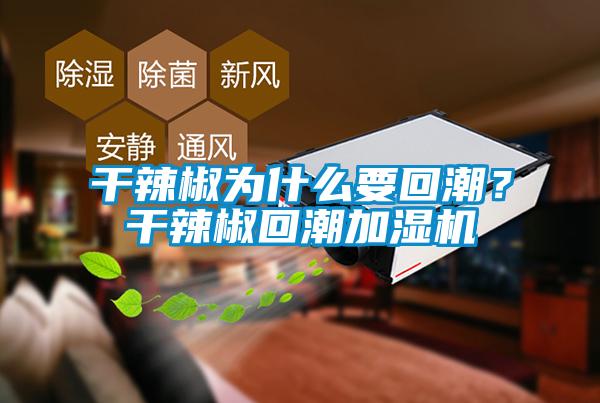 干辣椒為什么要回潮？干辣椒回潮加濕機(jī)