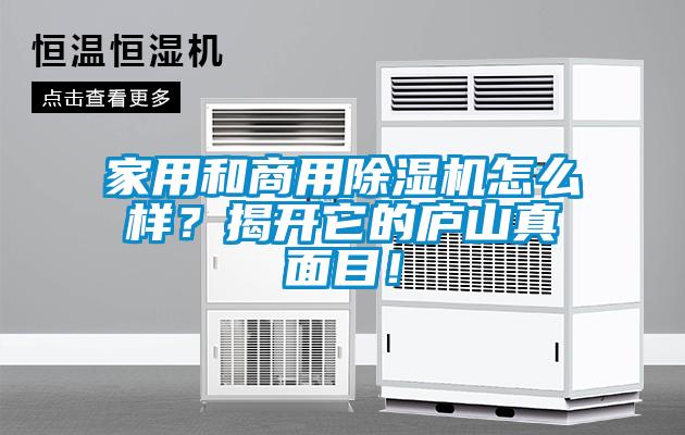 家用和商用除濕機(jī)怎么樣？揭開它的廬山真面目！