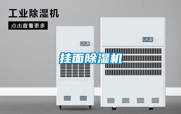 掛面除濕機(jī)