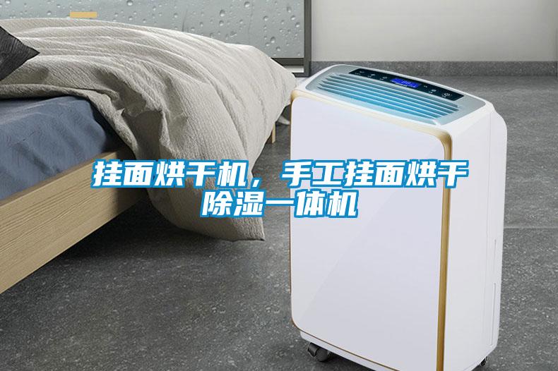 掛面烘干機(jī)，手工掛面烘干除濕一體機(jī)