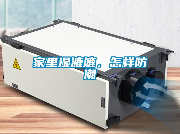 家里濕漉漉，怎樣防潮
