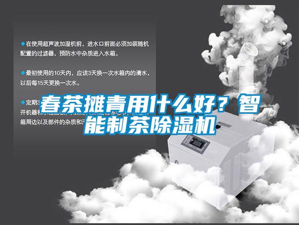春茶攤青用什么好？智能制茶除濕機(jī)