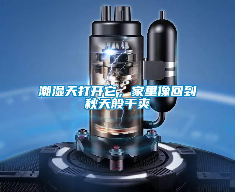 潮濕天打開它，家里像回到秋天般干爽