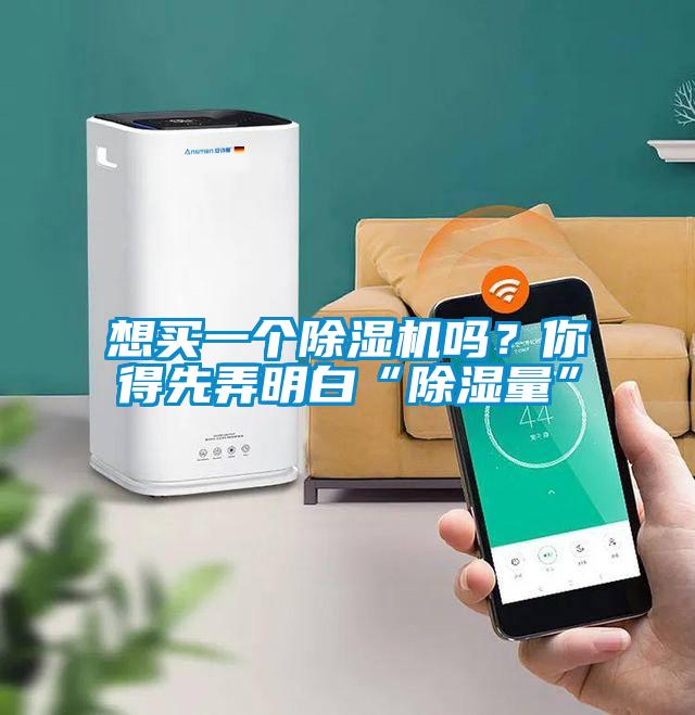 想買一個除濕機嗎？你得先弄明白“除濕量”