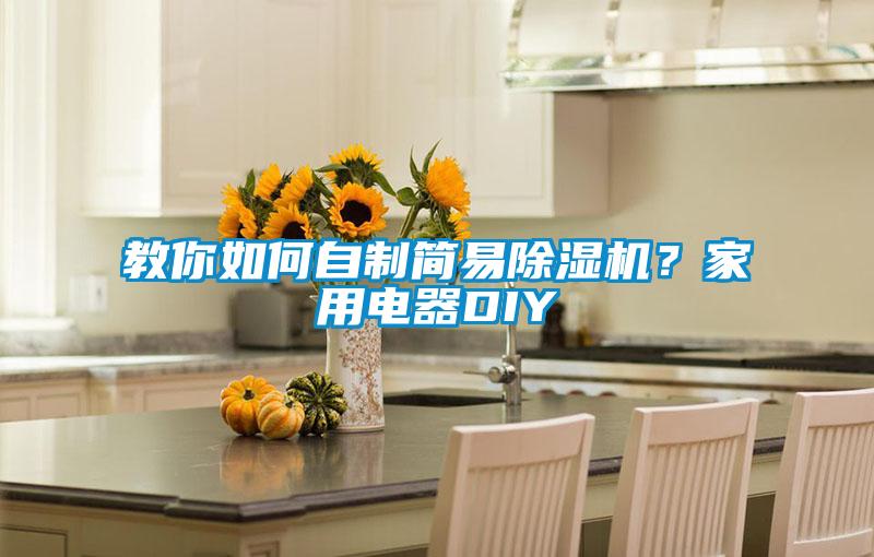 教你如何自制簡易除濕機(jī)？家用電器DIY